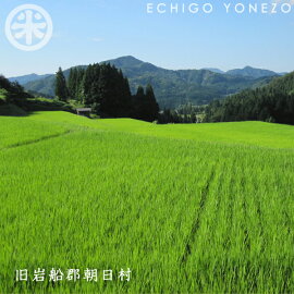 【新米 令和7年産】岩船朝日産コシヒカリ 岩船の山育ち 白米 5kg 10kg 15kg 20kg 特選限定米 こしヒカリ ギフト 米おもたせ 贈答 内祝 御祝 御中元 御歳暮 ギフト 米新潟岩船コシヒカリ