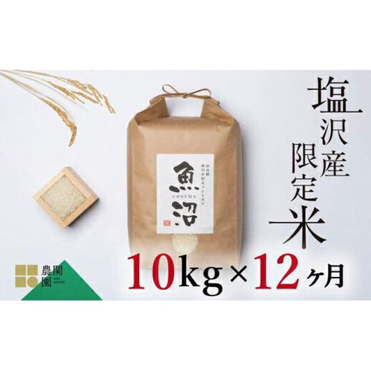 【ふるさと納税】【令和7年産新米予約】米定期便 120kg (10kg×12ヶ月) お米 旧塩沢地区限定 こしひかり 新潟 南魚沼魚沼産 南魚沼産 白米【2025年9月中旬より順次発送予定】 お米こめ 白米コシヒカリ食品 人気おすすめ 送料無料 魚沼 南魚沼