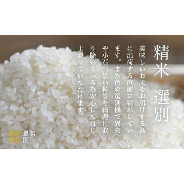 【ふるさと納税】【令和7年産新米予約】米定期便 120kg (10kg×12ヶ月) お米 旧塩沢地区限定 こしひかり 新潟 南魚沼魚沼産 南魚沼産 白米【2025年9月中旬より順次発送予定】 お米こめ 白米コシヒカリ食品 人気おすすめ 送料無料 魚沼 南魚沼