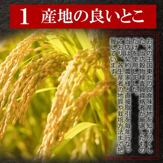 備蓄米 + 新米ブレンド 5kg 10kg 20kg 30kg (5kgずつの個包装) 宮城県産 令和7年産 ひとめぼれ