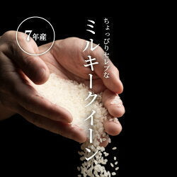 新米米 白米 10kg 送料無料 ミルキークイーン 令和7年産 ちょっぴりセレブシリーズ 米 10kg 送料無料 白米 お米 10kg 送料無料 米 10kg 送料無料 こめたつ 国内産備蓄用 非常用