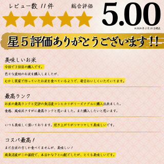新米米 令和7年コシヒカリ 新潟県南魚沼しおざわ産 コシヒカリ玄米 20kg(10kg×2袋) 出荷当日精米 | 令和7年産 単一原料米 米おこめ お米 玄米 白米 20キロ 魚沼産 塩沢コシヒカリ100% 味自慢 格安送料無料 【12時までのご注文は当日出荷】