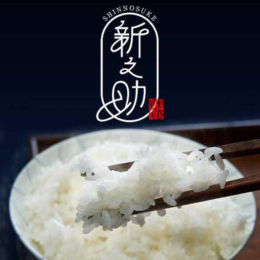 【真空新米 令和7年産】無洗米 新潟米 新之助 1kg ブリックパックセット 5kg 10kg 15kg 20kg チャック付 真空パック こしひかり 長期保存 備蓄 贈答品 内祝 御祝 御中元 御歳暮 ギフト 米新潟新之助