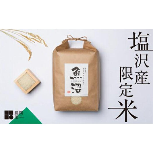 【ふるさと納税】【令和7年産新米予約】米定期便 120kg (10kg×12ヶ月) お米 旧塩沢地区限定 こしひかり 新潟 南魚沼魚沼産 南魚沼産 白米【2025年9月中旬より順次発送予定】 お米こめ 白米コシヒカリ食品 人気おすすめ 送料無料 魚沼 南魚沼